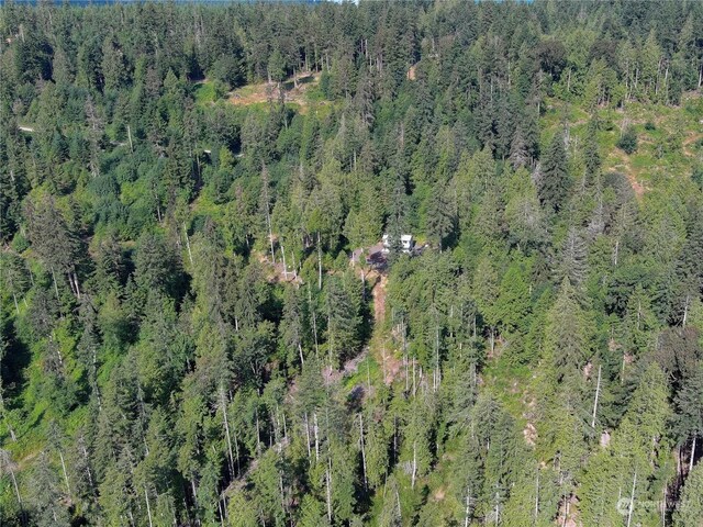 606 Whitney Rd, Quilcene, WA 98376