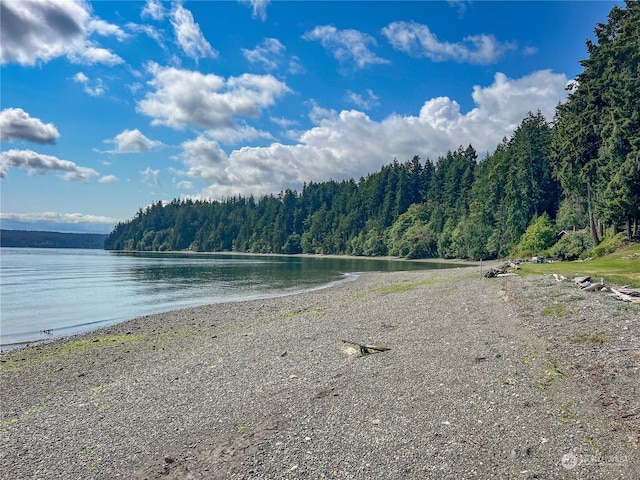 606 Whitney Rd, Quilcene, WA 98376