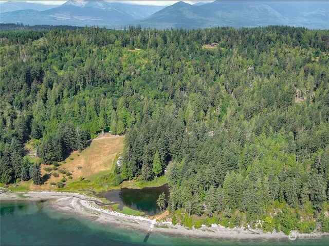 606 Whitney Rd, Quilcene, WA 98376
