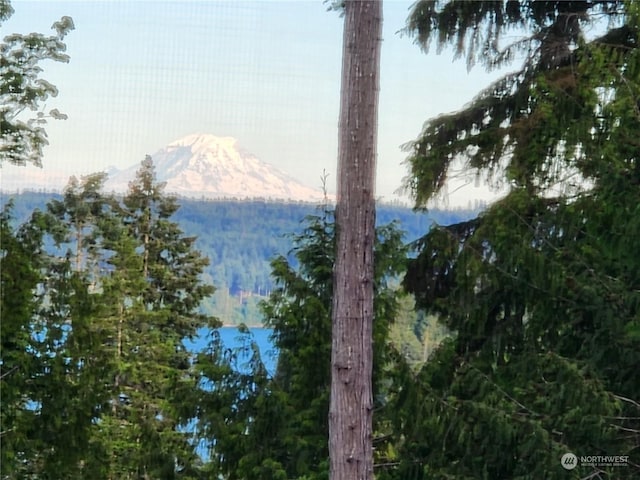 606 Whitney Rd, Quilcene, WA 98376