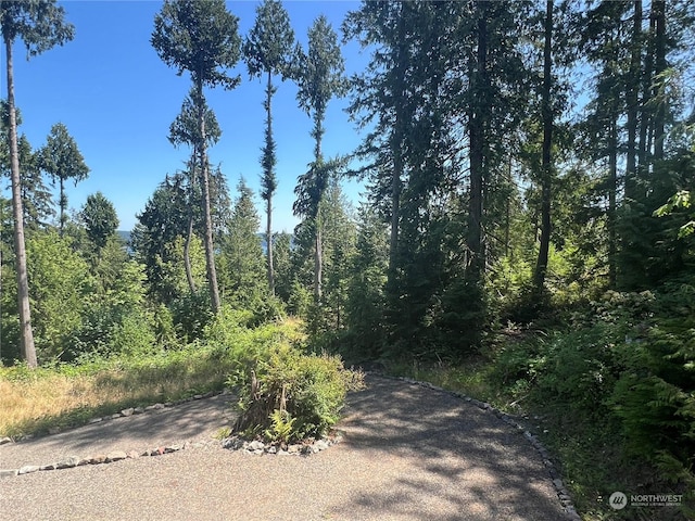 606 Whitney Rd, Quilcene, WA 98376