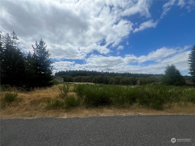 9110 Johnson Rd, Anderson Island WA, 98303 land for sale