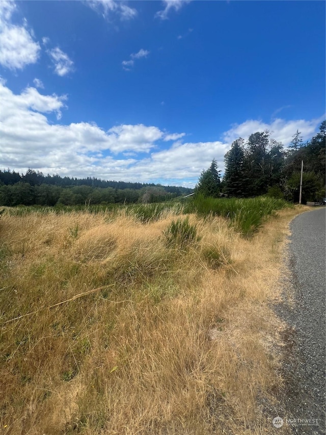 9110 Johnson Rd, Anderson Island, WA 98303 - photo 2
