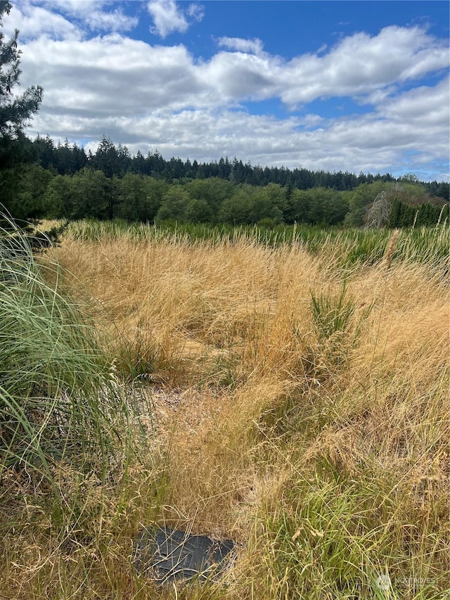 9110 Johnson Rd, Anderson Island, WA 98303 - photo 3