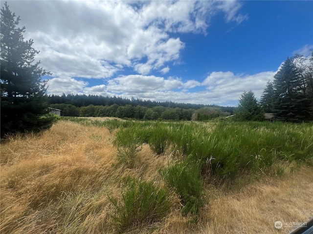 9110 Johnson Rd, Anderson Island, WA 98303 - photo 5