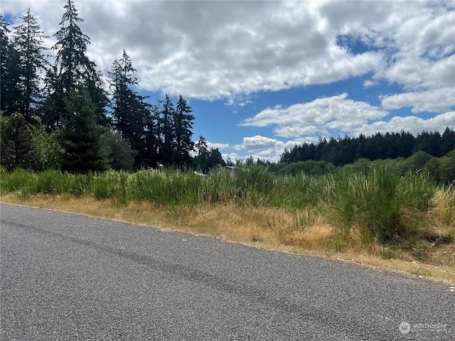 9110 Johnson Rd, Anderson Island, WA 98303 - photo 6