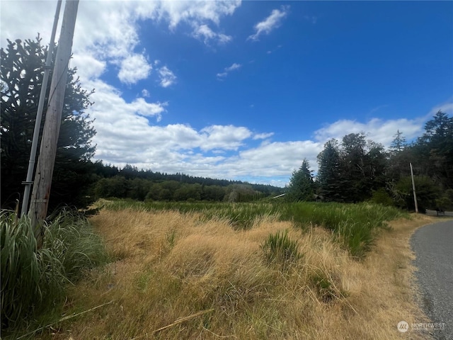 9110 Johnson Rd, Anderson Island, WA 98303 - photo 9