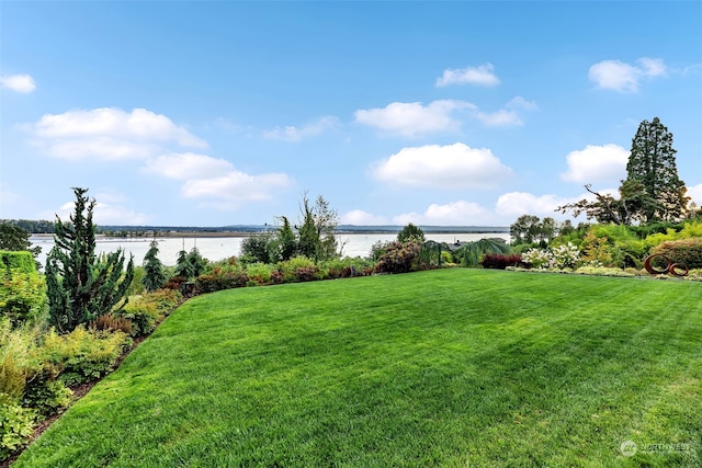 view of yard featuring a water view