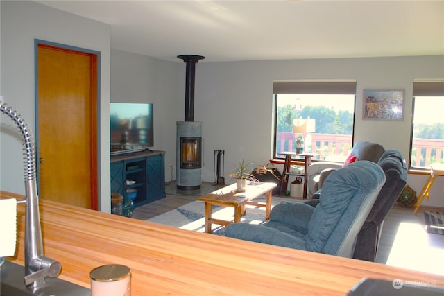 living room featuring light hardwood / wood-style flooring, a healthy amount of sunlight, and a wood stove