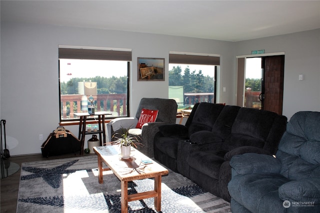 living room with wood-type flooring