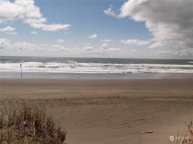 property view of water featuring a view of the beach