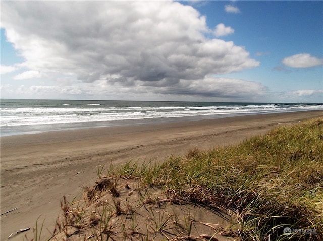 water view featuring a beach view