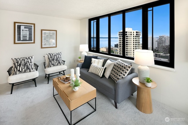 carpeted living room with a textured ceiling