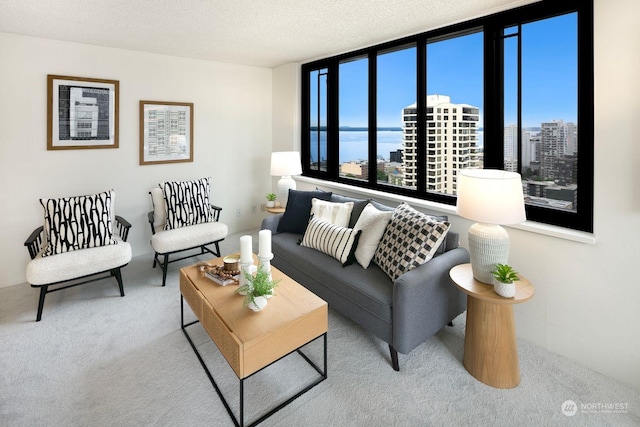 living room with a view of city, a textured ceiling, and carpet flooring