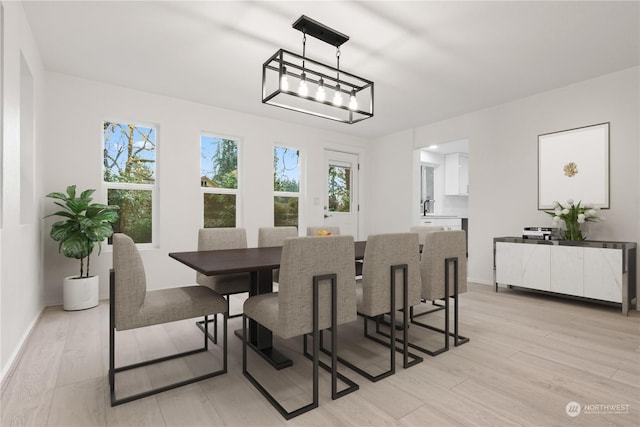 dining room featuring a healthy amount of sunlight and light wood-type flooring