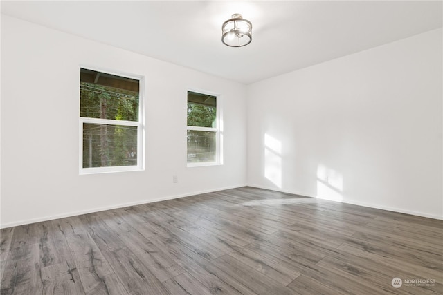 spare room featuring wood-type flooring