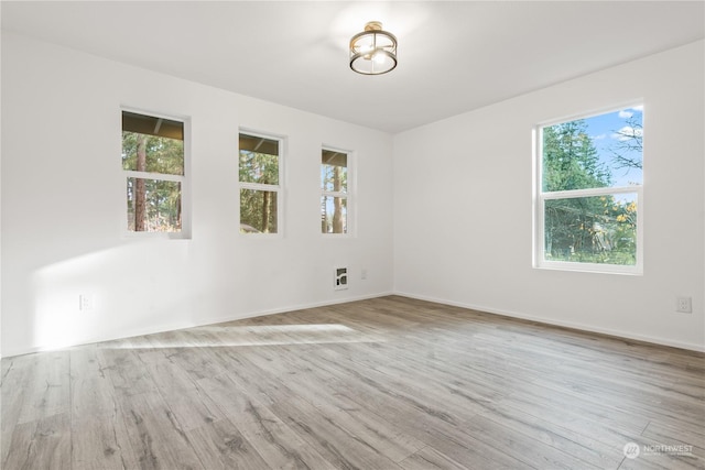 spare room with plenty of natural light and light hardwood / wood-style flooring