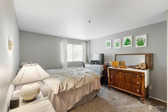 bedroom with carpet floors