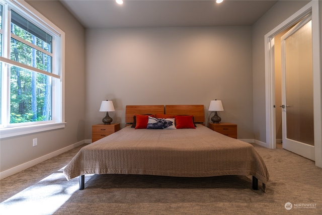 view of carpeted bedroom