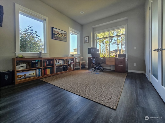 office space with dark hardwood / wood-style floors