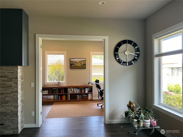 interior space with dark hardwood / wood-style flooring