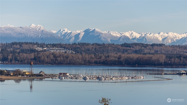 water view featuring a mountain view