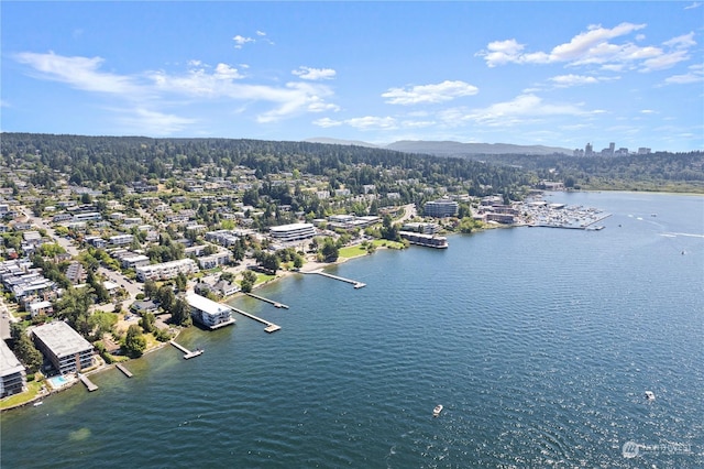 6211 Lake Washington Blvd NE, Kirkland, WA 98033