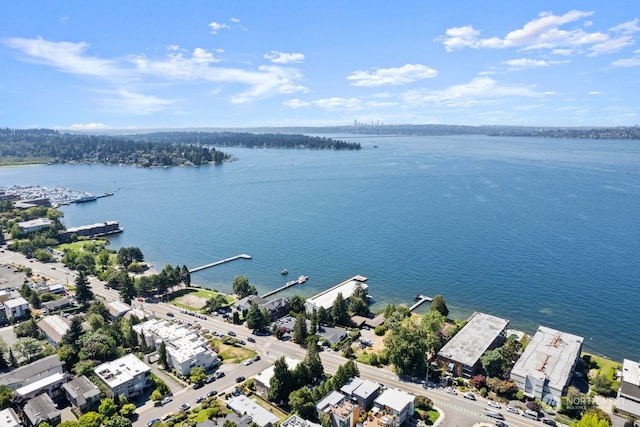 6211 Lake Washington Blvd NE, Kirkland, WA 98033