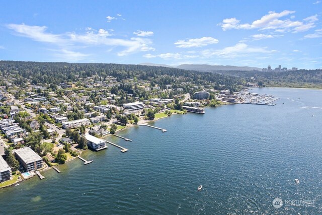 6211 Lake Washington Blvd NE, Kirkland, WA 98033