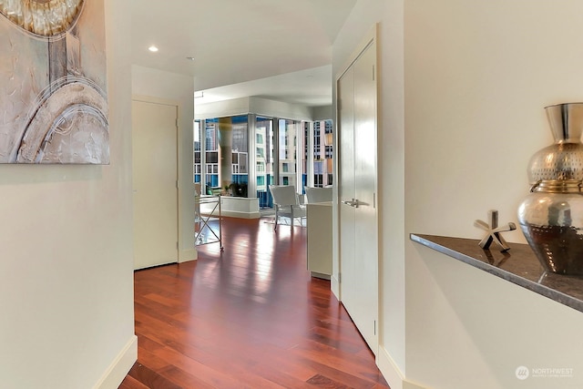 hallway with hardwood / wood-style flooring