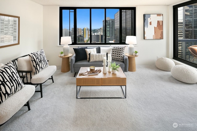 carpeted living room featuring a wall of windows and a healthy amount of sunlight