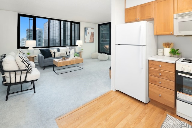 kitchen with light hardwood / wood-style floors, floor to ceiling windows, and white appliances