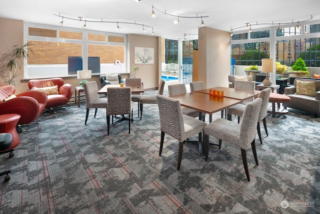 carpeted dining space featuring a wealth of natural light and track lighting