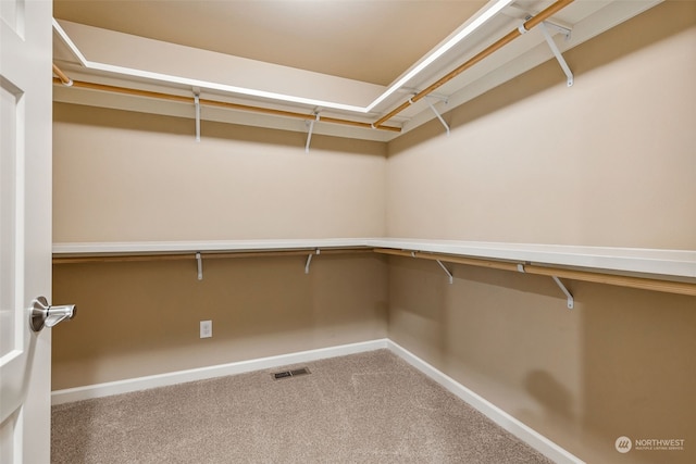 spacious closet featuring carpet and visible vents