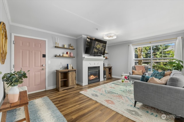 living room featuring crown molding and dark hardwood / wood-style flooring