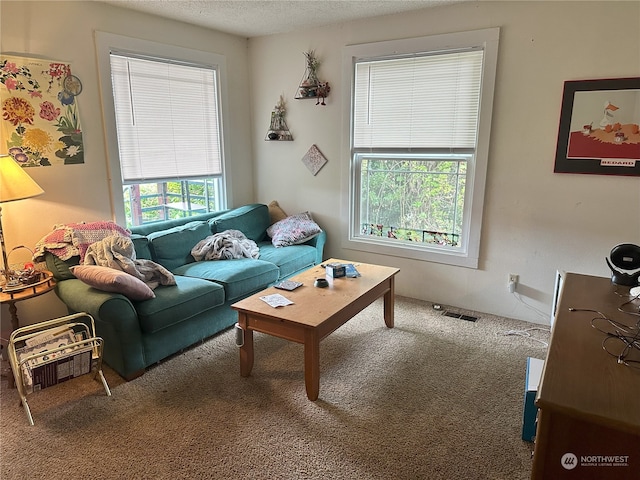 carpeted living room featuring a textured ceiling