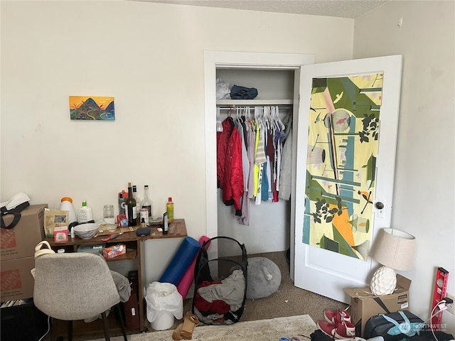 interior space featuring carpet flooring and a closet