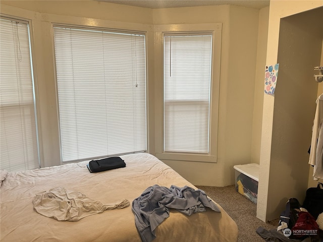 bedroom with carpet flooring