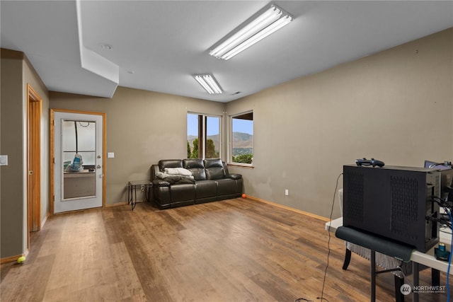 living room with hardwood / wood-style floors