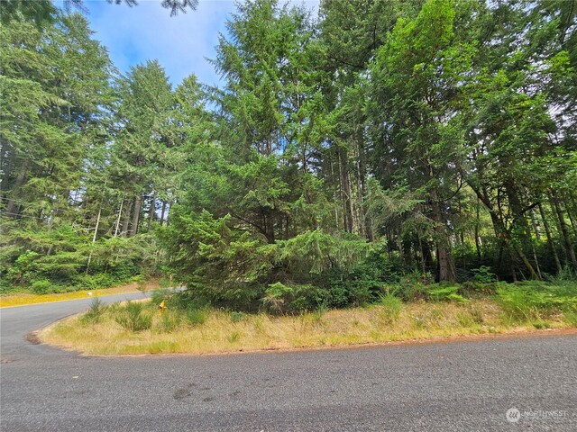 9325 123rd Ave, Anderson Island WA, 98303 land for sale