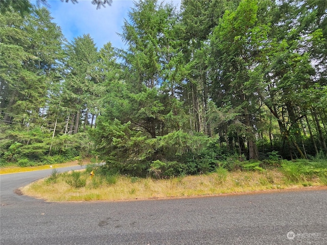 9325 123rd Ave, Anderson Island WA, 98303 land for sale