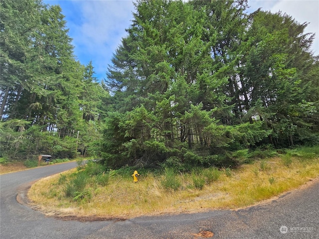 Listing photo 2 for 9325 123rd Ave, Anderson Island WA 98303