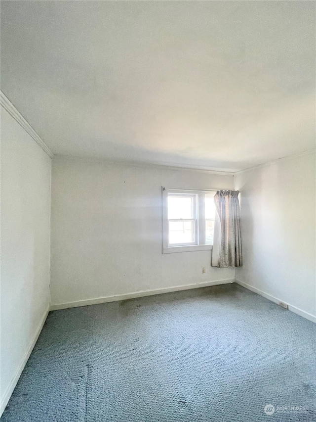 empty room featuring crown molding and carpet floors