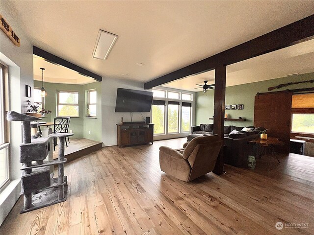 living room with ceiling fan, beamed ceiling, a healthy amount of sunlight, and hardwood / wood-style flooring