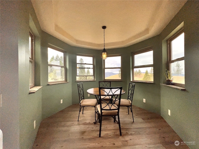 dining room featuring light hardwood / wood-style flooring and a raised ceiling