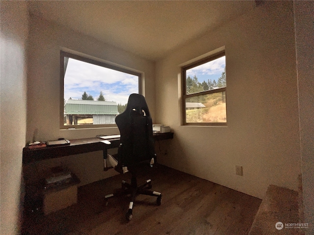 office featuring dark wood-type flooring