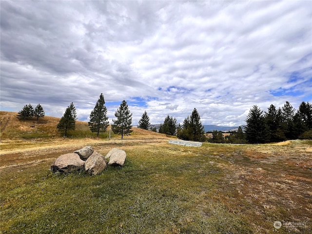 view of yard featuring a rural view