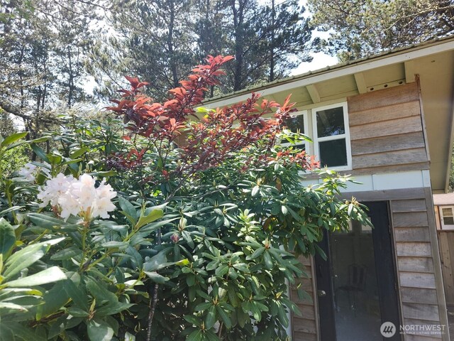 29015 K Ln, Ocean Park, WA 98640 - photo 39