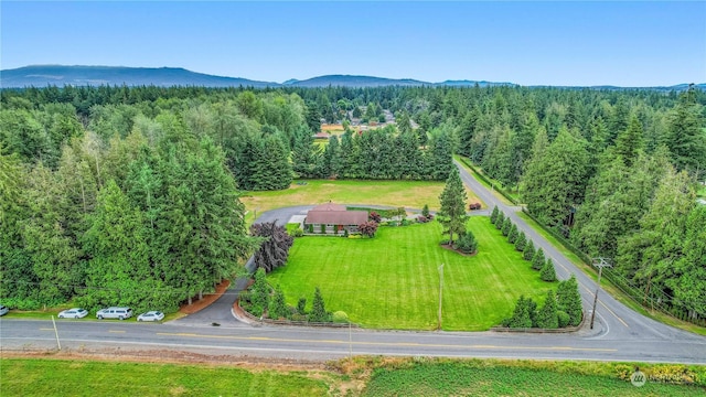 aerial view with a mountain view and a view of trees