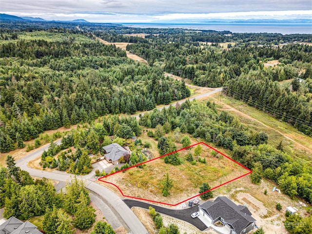 9999 Park Forest Dr, Port Angeles WA, 98362 land for sale